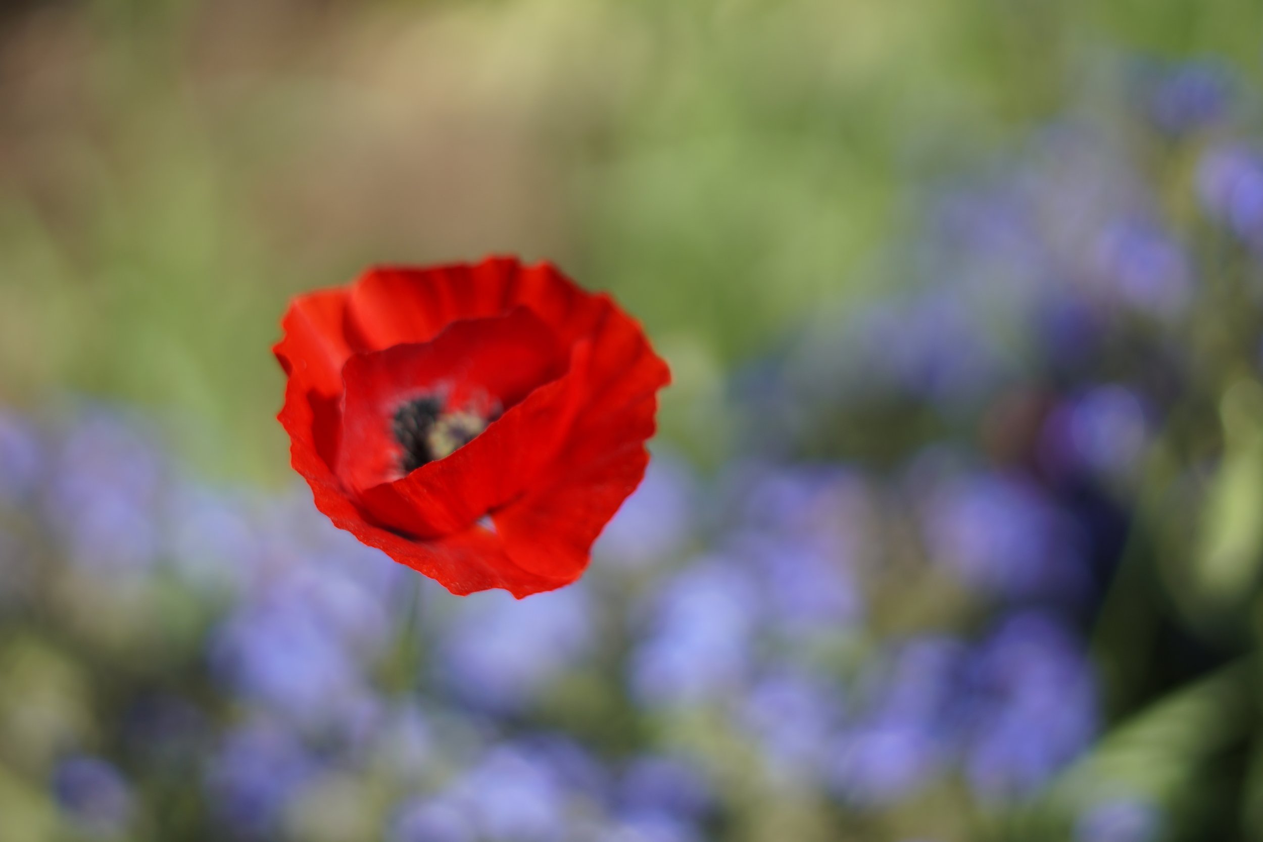 Photography 2
