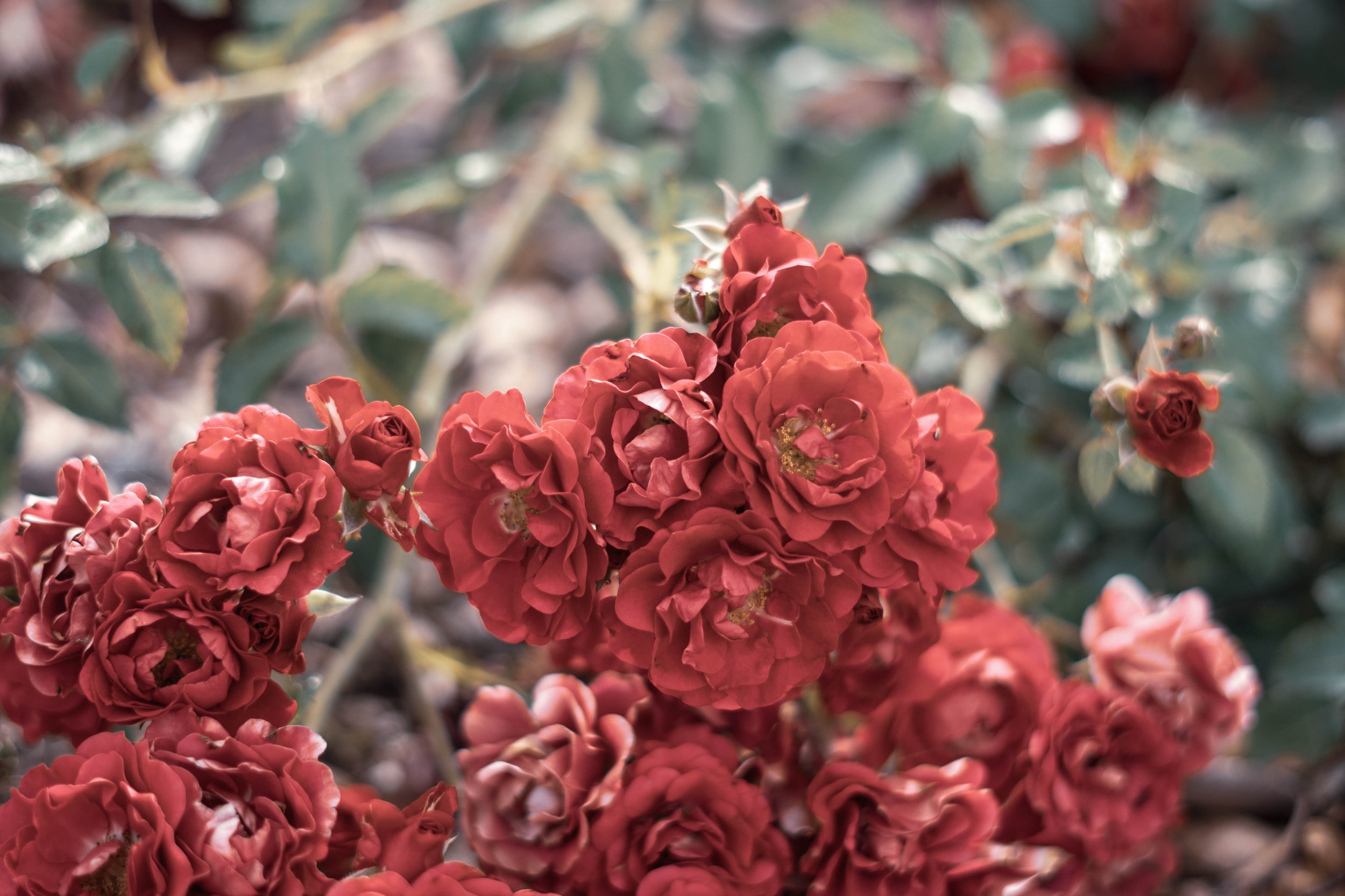 Photography 7