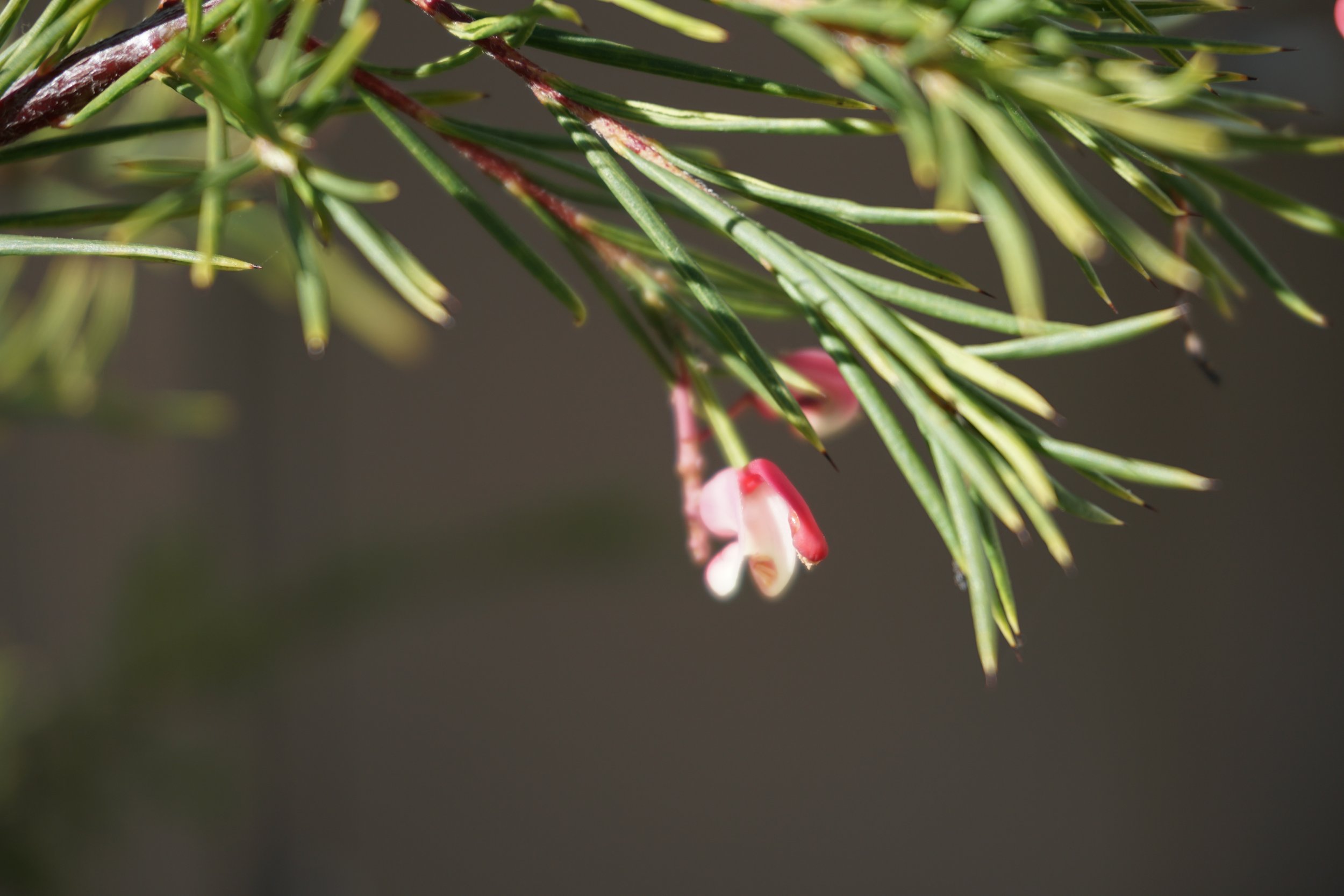 Photography 8