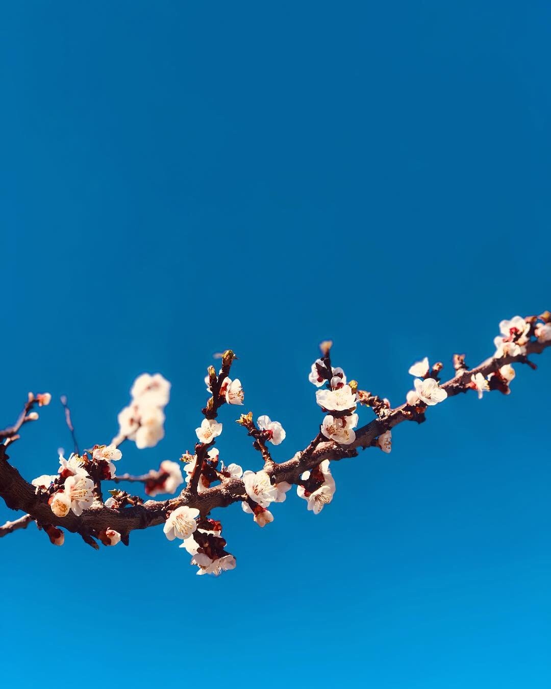 Photography 9