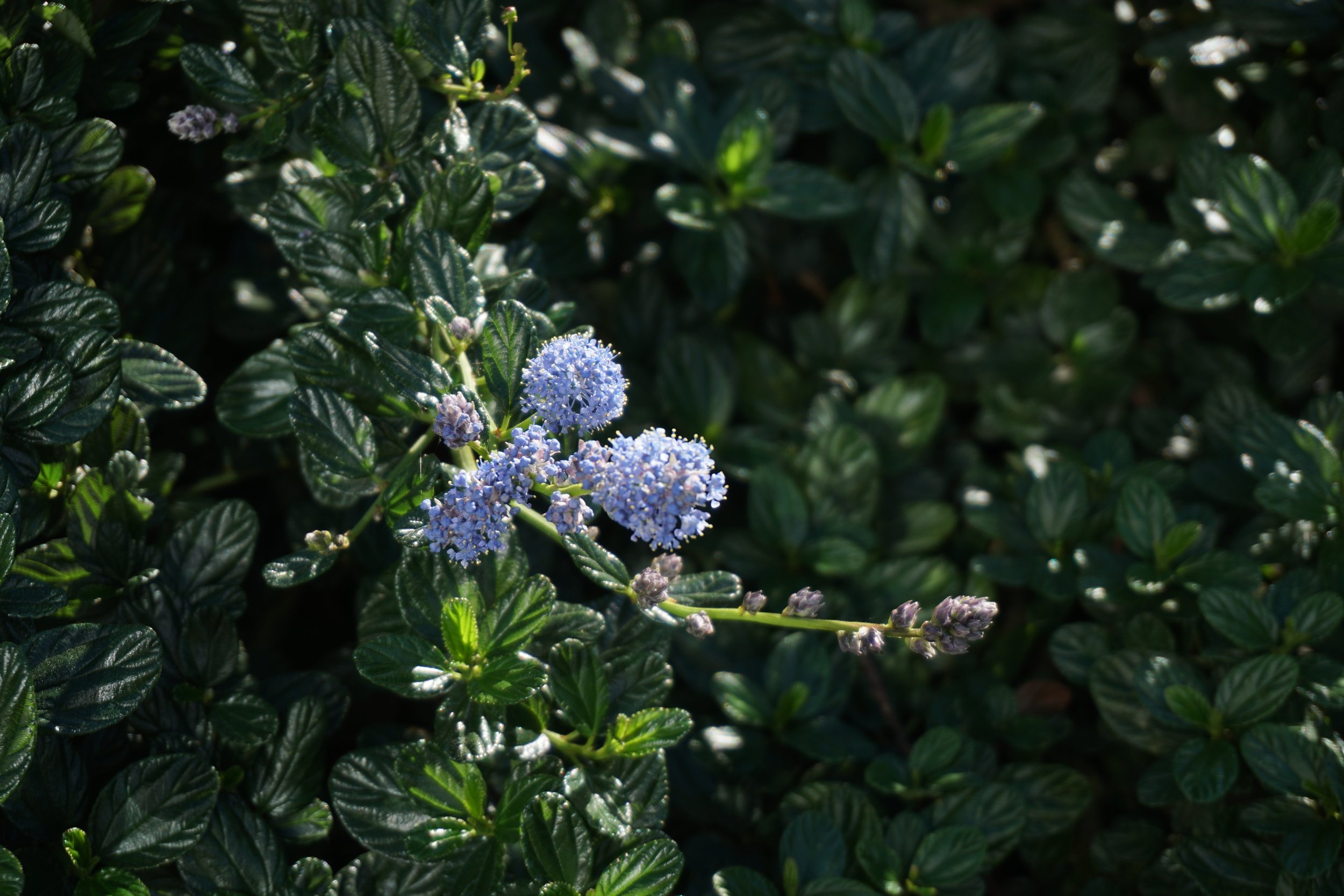 Photography 10