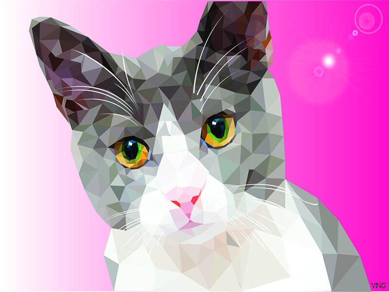 Cat Drawing