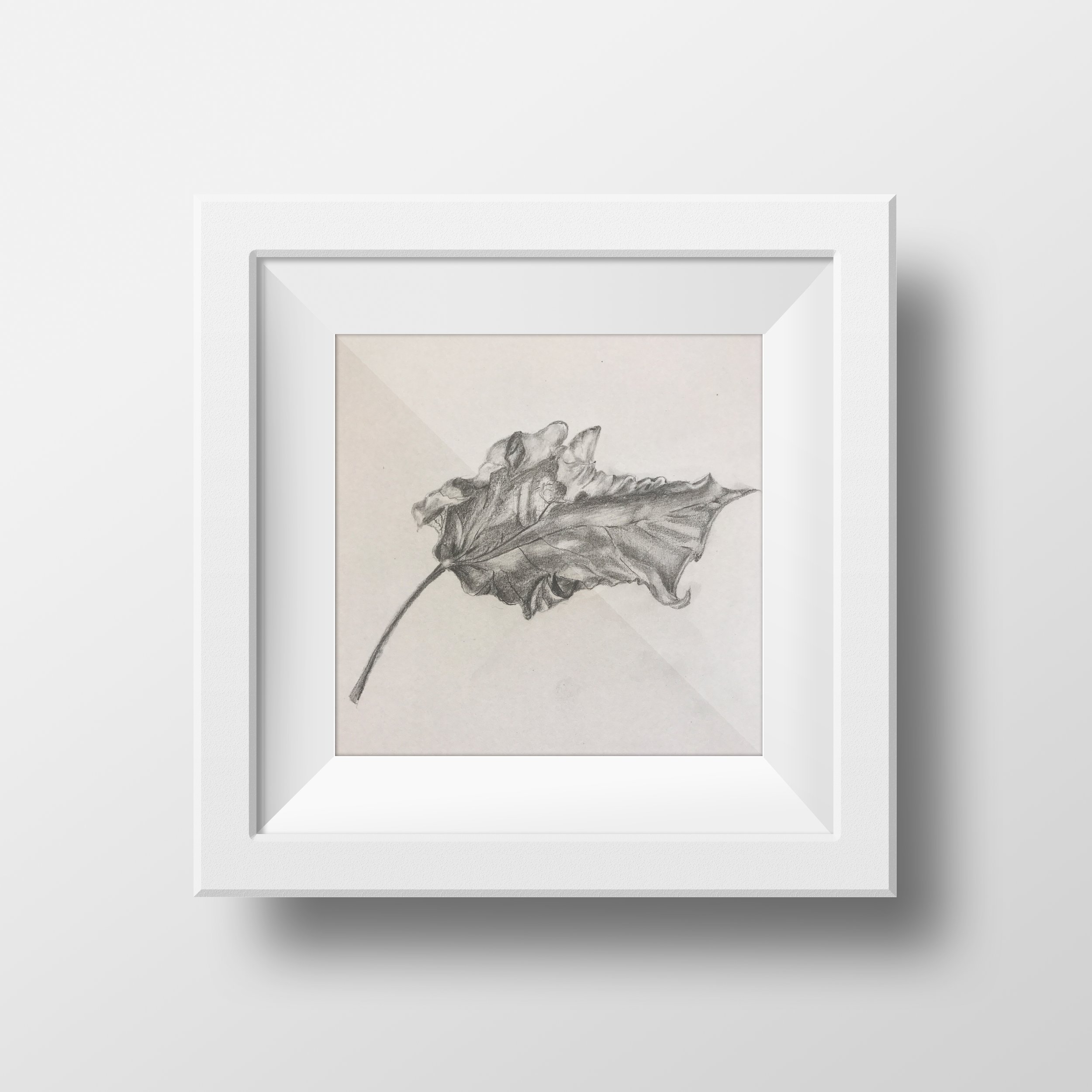 Pencil Drawing